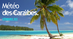 Métoé des Caraïbes